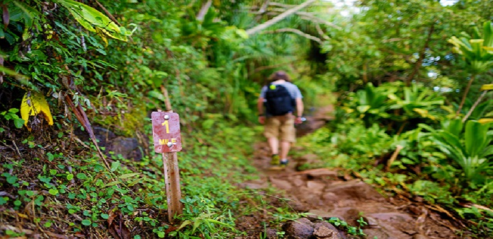 Hiking-Tips